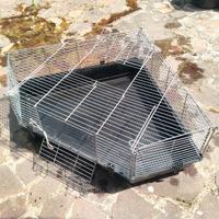 super gabbia triangolare