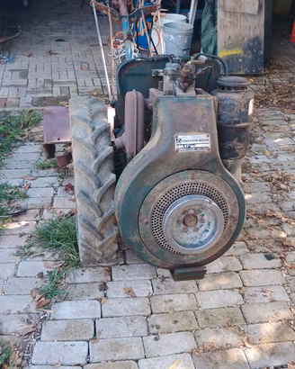 motocoltivatore  diesel 