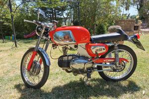 Motobi - Benelli 250 SS 1965 - DA PASSAGGIO-