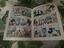 Immagine 3