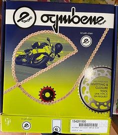 Kit trasmissione Suzuki 250 TU e GN