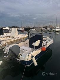 Barca Janneau