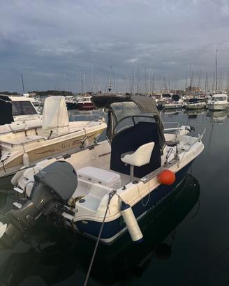 Barca Janneau