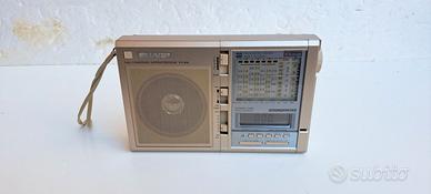 Radio Sharp Multi Band Deluxe FV-610GB - 10 Bands