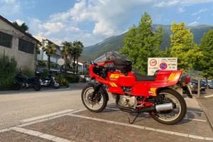 Ducati 350 Pantah - 1983