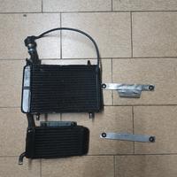 Radiatore Malossi Zip sp mk1 
