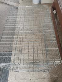gabbia per cani 
