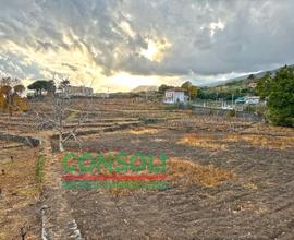 Vigneto con quote viti (Nerello Mascalese)