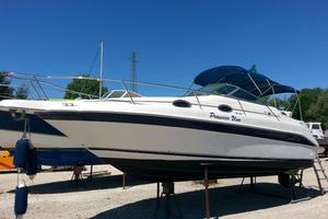 Imbarcazione natante SeaRay 250
