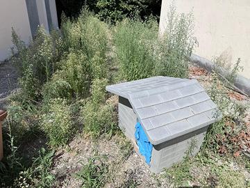 Cuccia grande per cane in plastica grigia