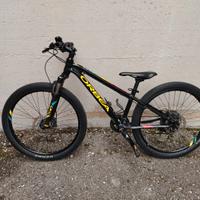 Mtb 24 pollici orbea mx24 xc