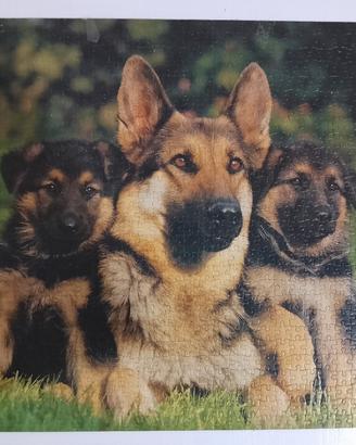 Puzzle cani