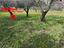 Immagine 16