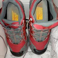 Scarpe La Sportiva GTX n.40