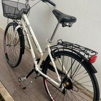 Bicicletta in Alluminio