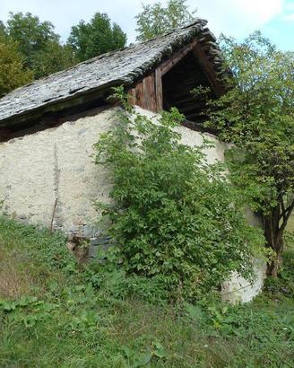 Baita/Chalet/Trullo Trasquera [GroTraC0422VRG]