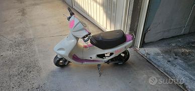 mini scooter 