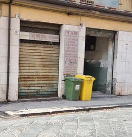 Via Santangelo Fulci laboratorio artigianale mq.