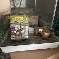 Gabbia x porcellini d India