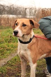 YURI sei tanto dolce