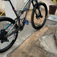 Bici specialized