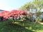 Immagine 21