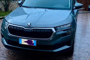Skoda Karoq 2024