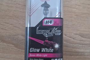 Lampada H4 Luce Bianca Moto/Auto (nuova)