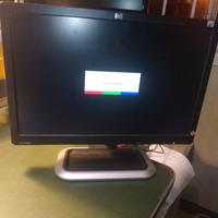 monitor HP 19 Pollici 