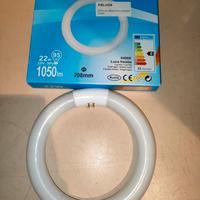 Lampada neon circolare