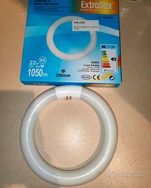 Lampada neon circolare