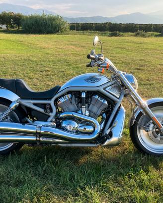 Harley-Davidson V-Rod - 2003