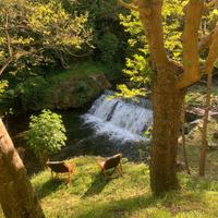 Casa Vacanza La Cascata - Relax nella natura