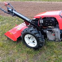 Goldoni my special 14