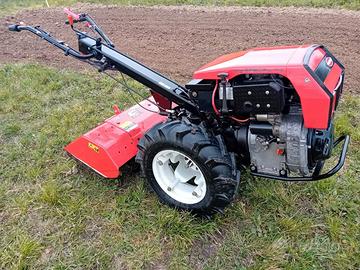 Goldoni my special 14