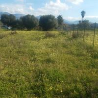 TERRASINI lotti di terreno varie quadrature