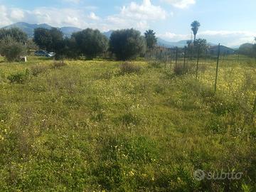 TERRASINI lotti di terreno varie quadrature