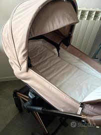 Navicella cybex Priam