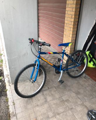 Bicicletta