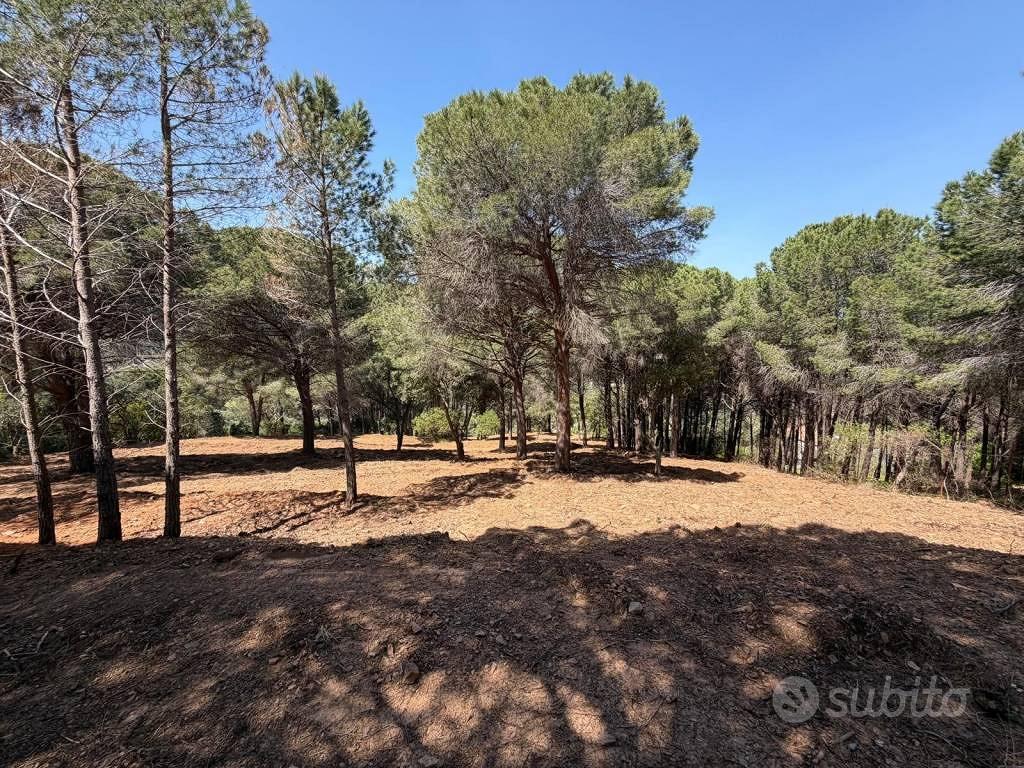 Terreno di 9250 m² a Cefalù - Vista 5