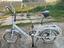 Immagine 1