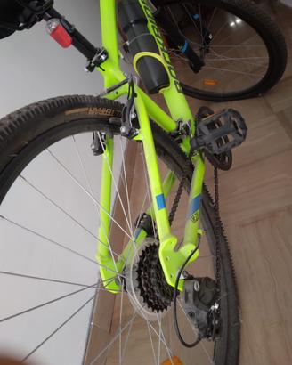 montebike/bicicletta nuova