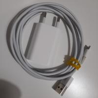 Iphone caricabatterie