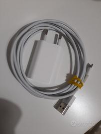 Iphone caricabatterie