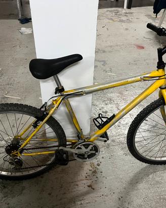 Bici 26