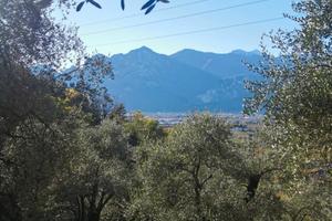 Uliveto con orto e vista panoramica - Bolognano