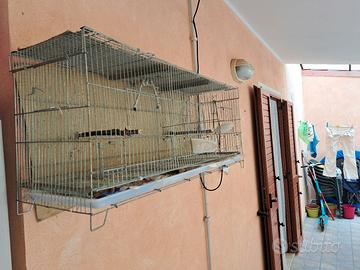 gabbia da cova 90 cm