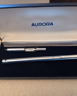 Penna stilografica Aurora Hastil