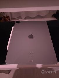 Apple iPad Pro 2022 M2 6a gen 12.9 256GB pencil