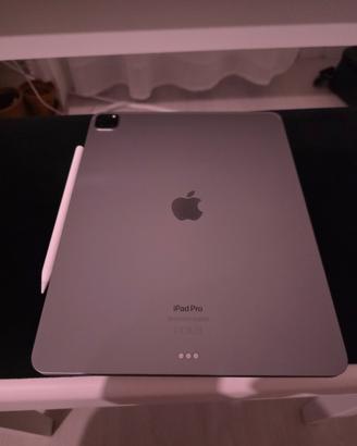 Apple iPad Pro 2022 M2 6a gen 12.9 256GB pencil